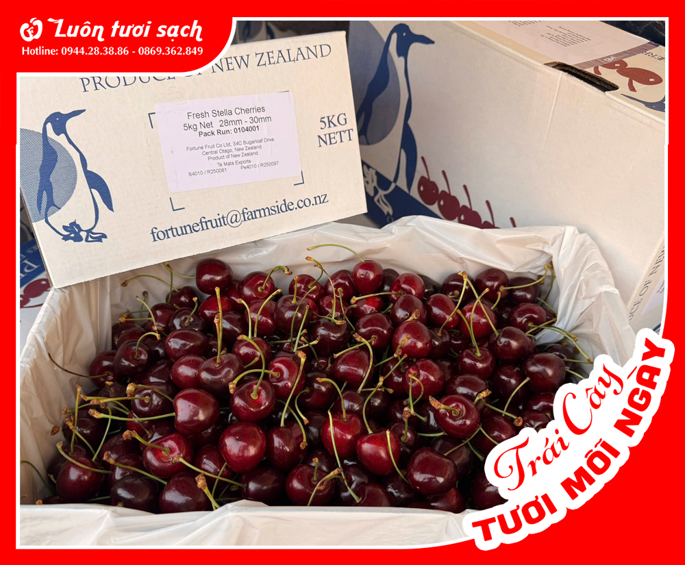 Cherry New Zealand sz 28